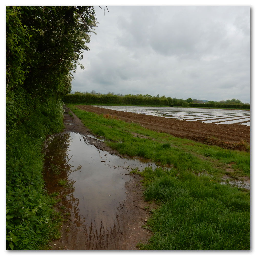 Apuldram Church, The puddles are back