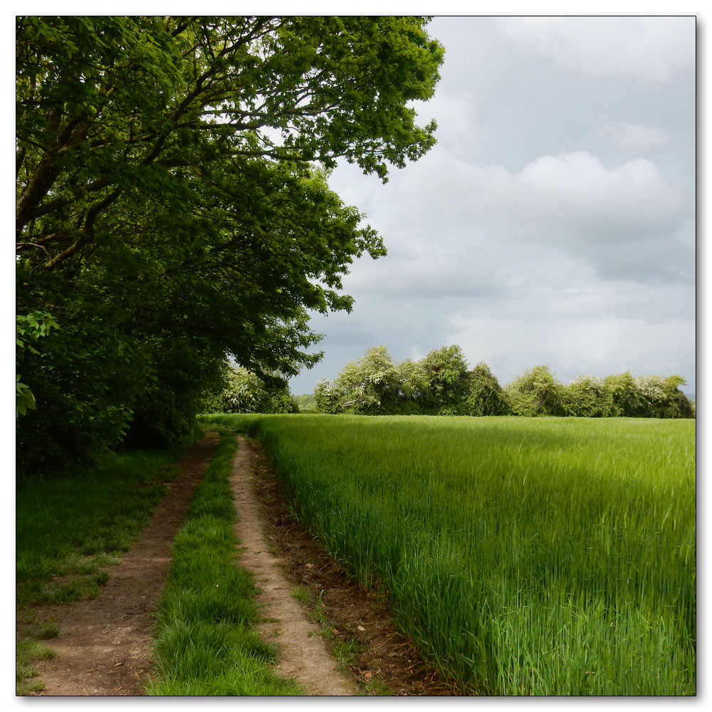 Walk to Fishbourne Channel, 