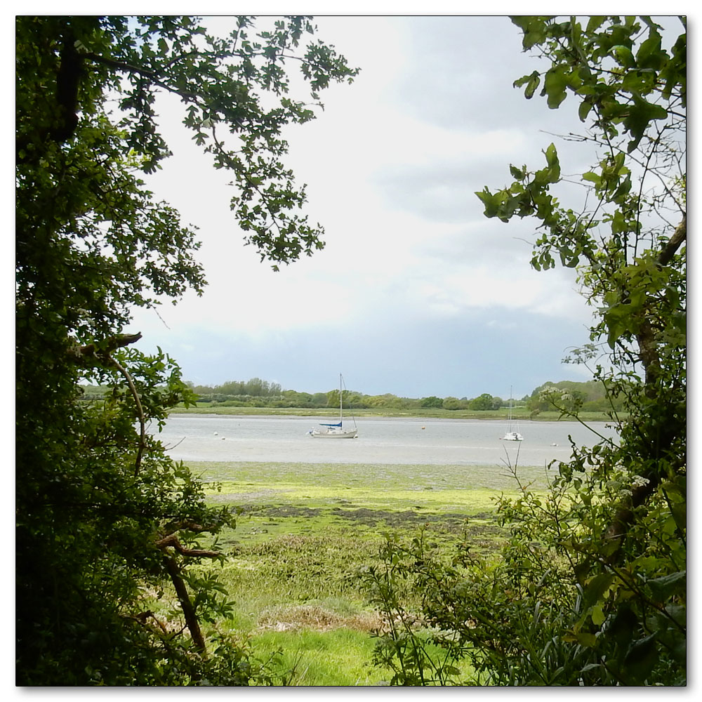 Walk to Fishbourne Channel, 