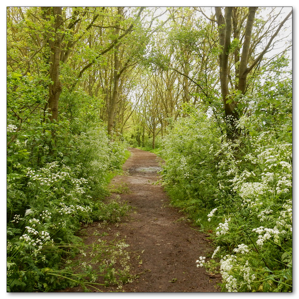 Walk to Fishbourne Channel, 