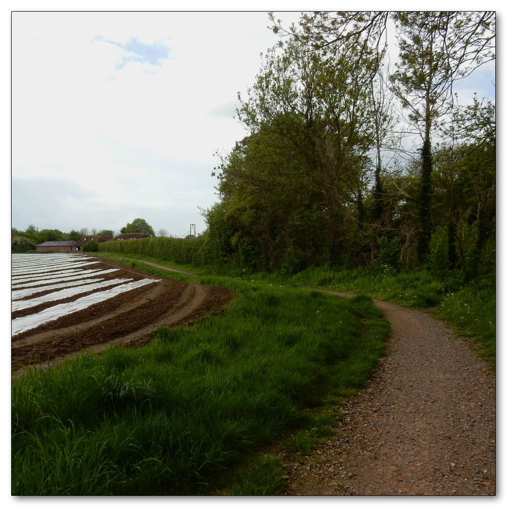 Walk to Fishbourne Channel, 