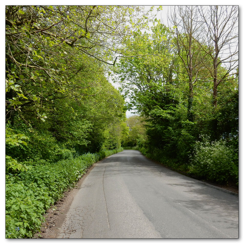 Walk to Fishbourne Channel, 