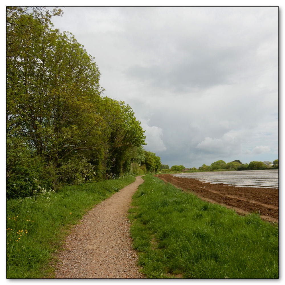 Walk to Fishbourne Channel, 