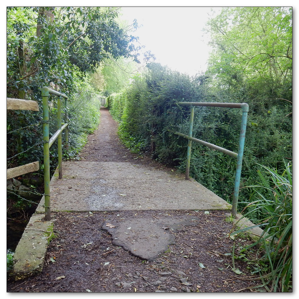 Fishbourne Meadow, 