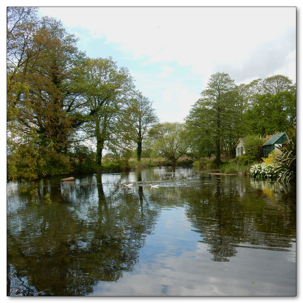 Fishbourne Meadow, Mill Lane Pond