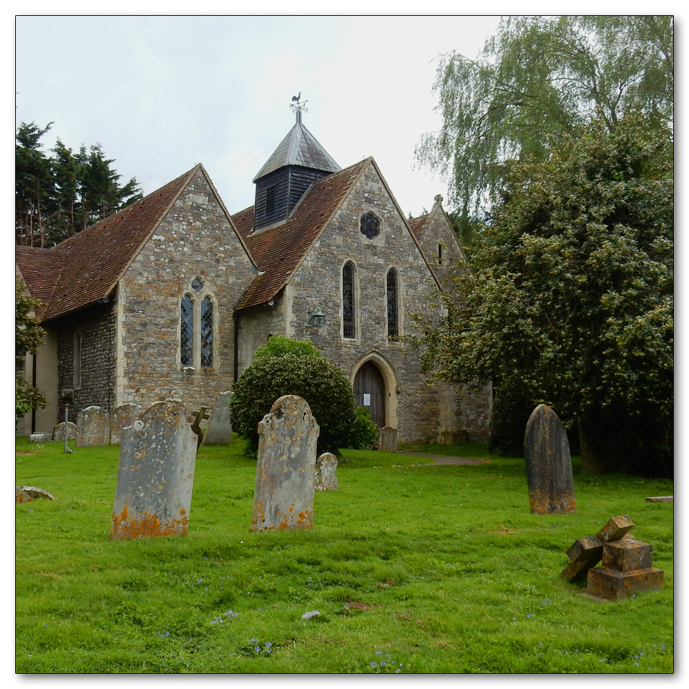 Fishbourne Meadow, 