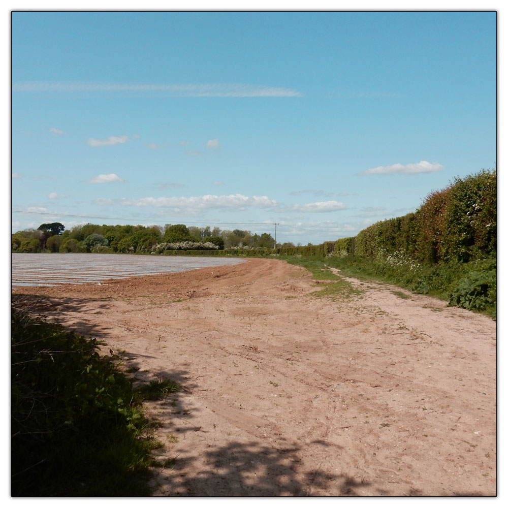 Fishbourne Meadow, Start