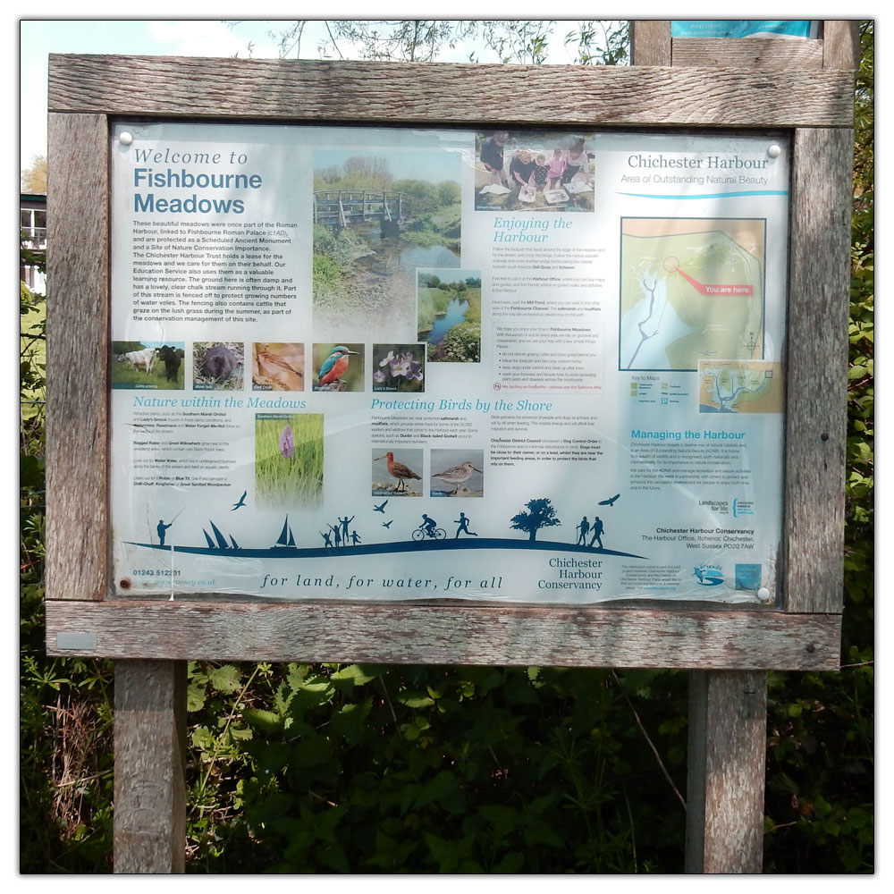 Fishbourne Meadow, Fishbourne Meadow info board