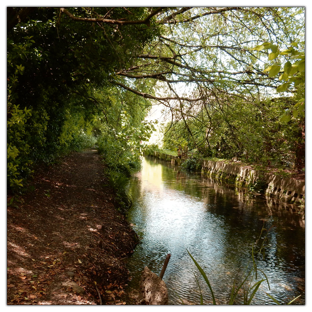 Fishbourne Meadow, 