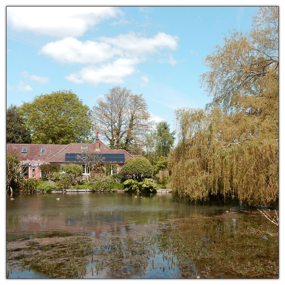 Fishbourne Meadow, Mill Lane Pond