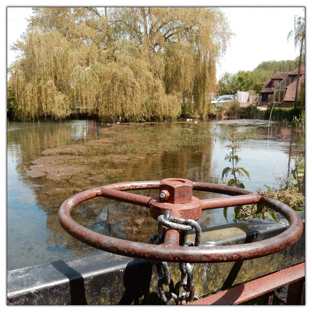 Fishbourne Meadow, Mill Lane Pond