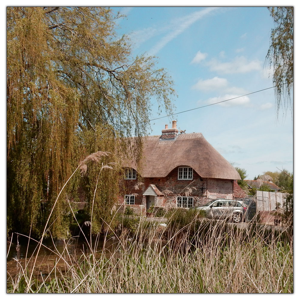 Fishbourne Meadow, 