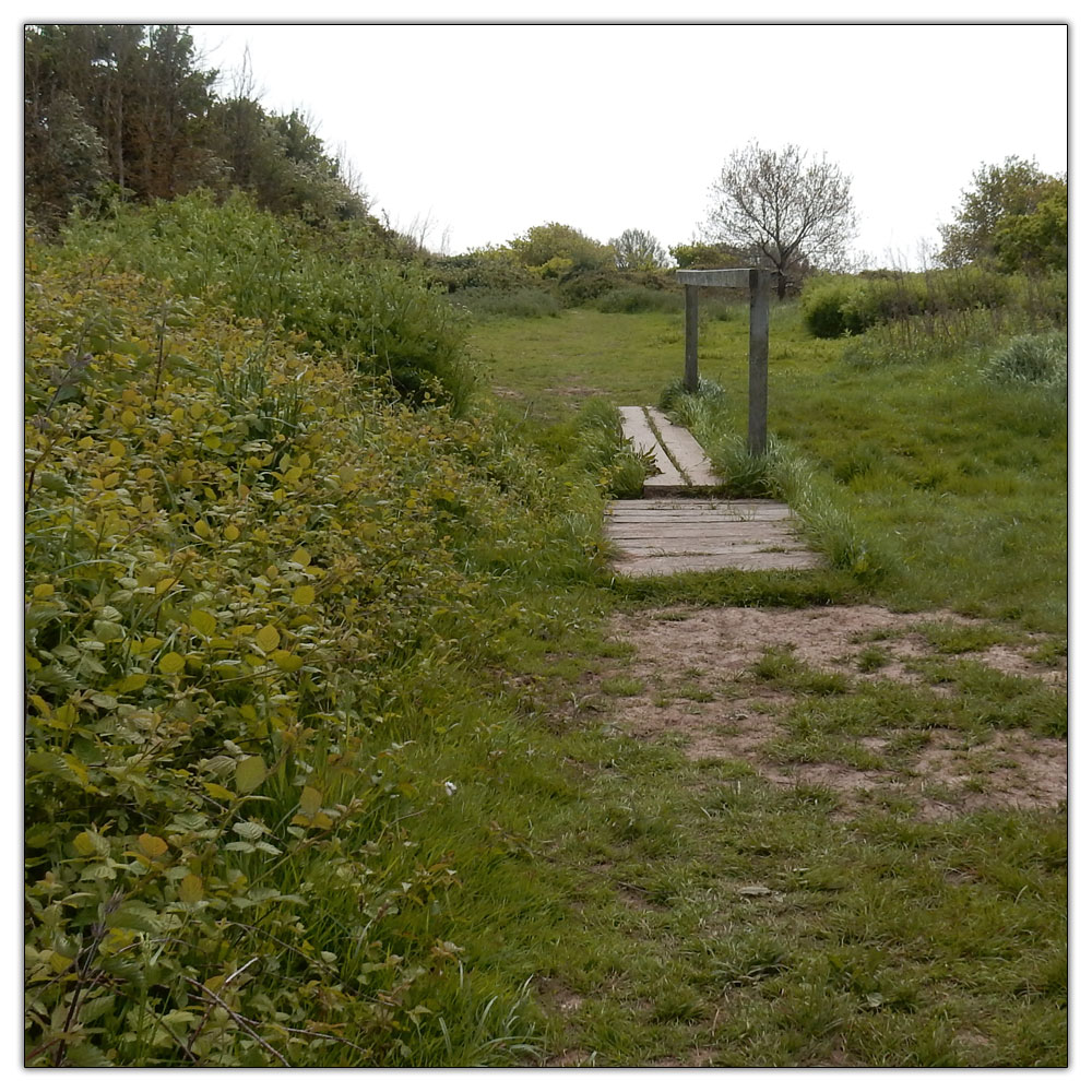 Fishbourne Meadow, 