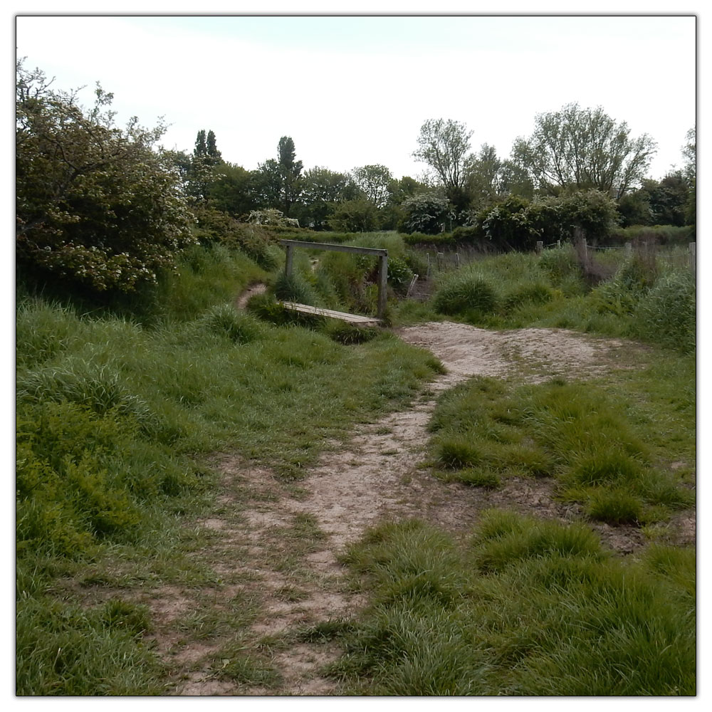 Fishbourne Meadow, 