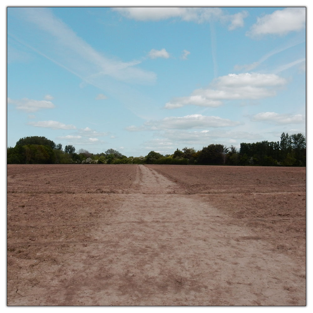 Fishbourne Meadow, 