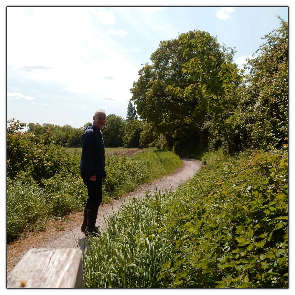 Fishbourne Meadow, 