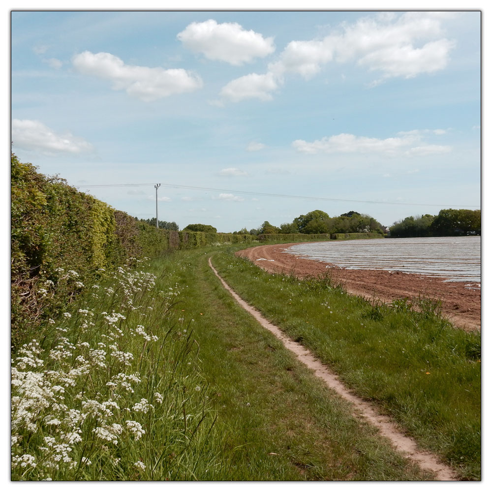 Fishbourne Meadow, Back to work..