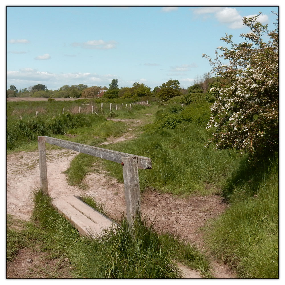 Fishbourne Meadow, Path to the Fishbourne Meadow