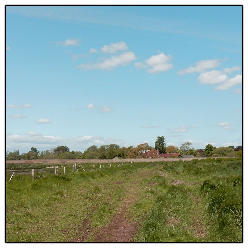 Fishbourne Meadow, 