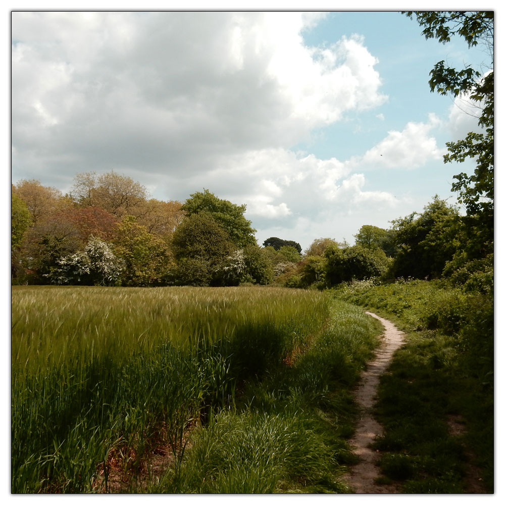 Sophie's Boatyard, Path to the church