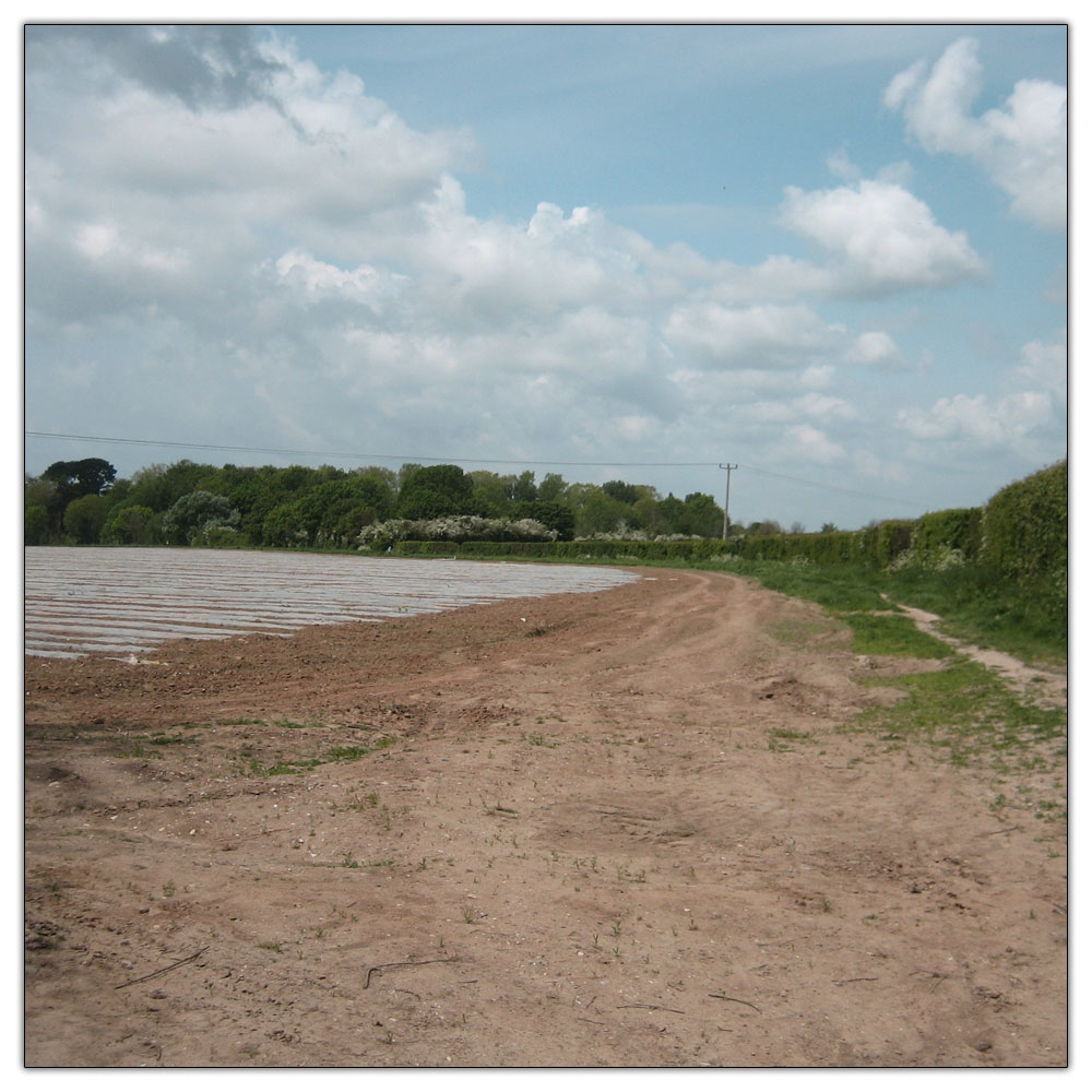 Run to Salterns Copse, Start