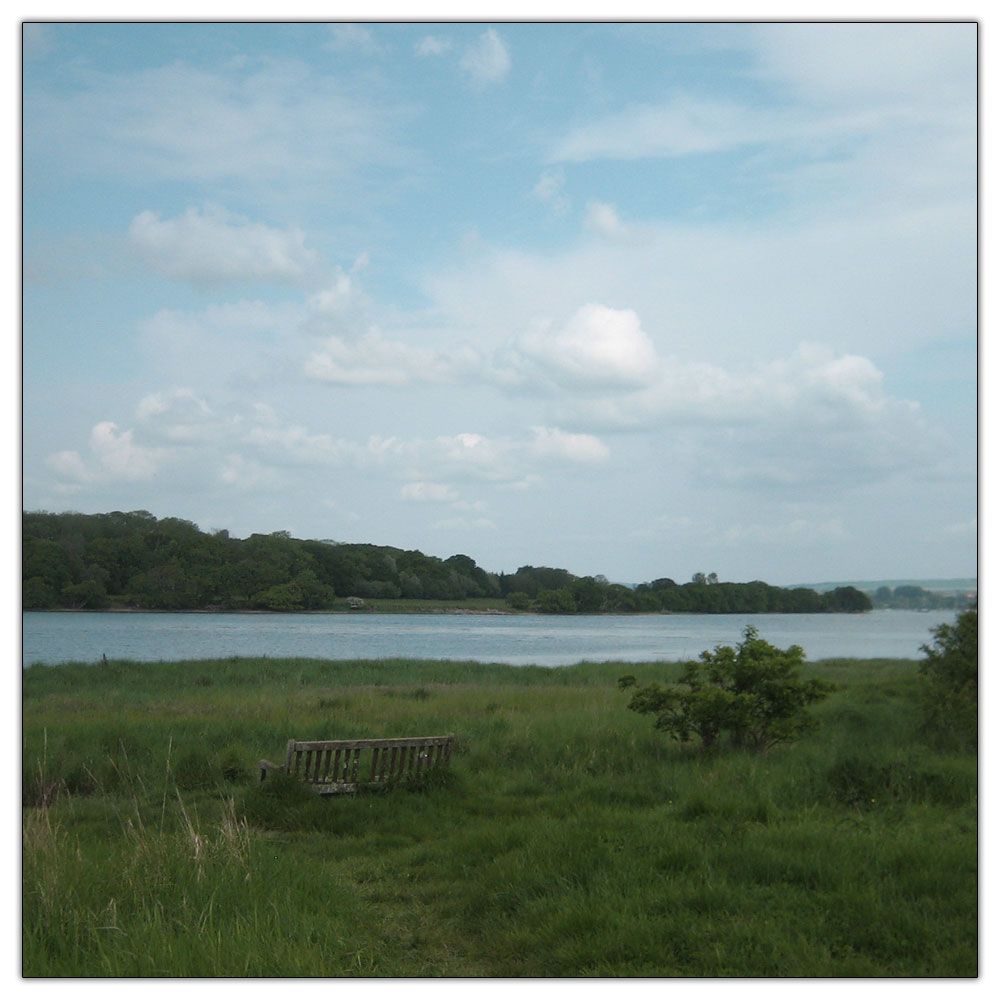 Run to Salterns Copse, 