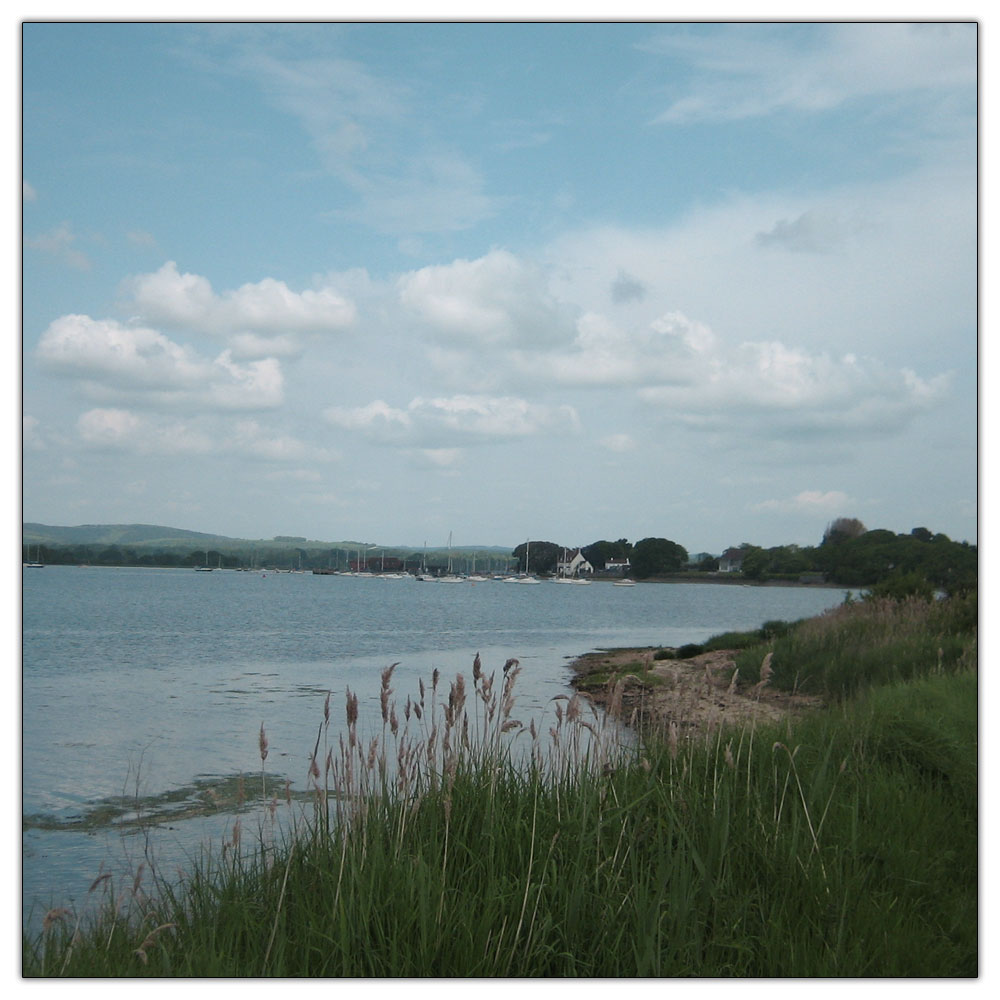 Run to Salterns Copse, 