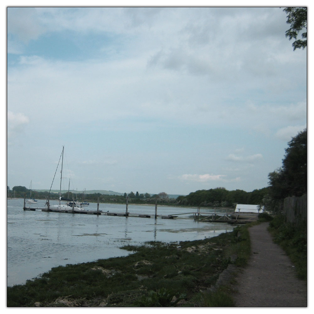 Run to Salterns Copse, 