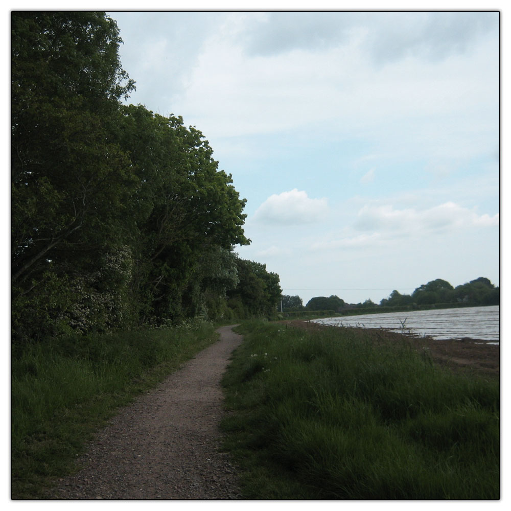 Run to Salterns Copse, 