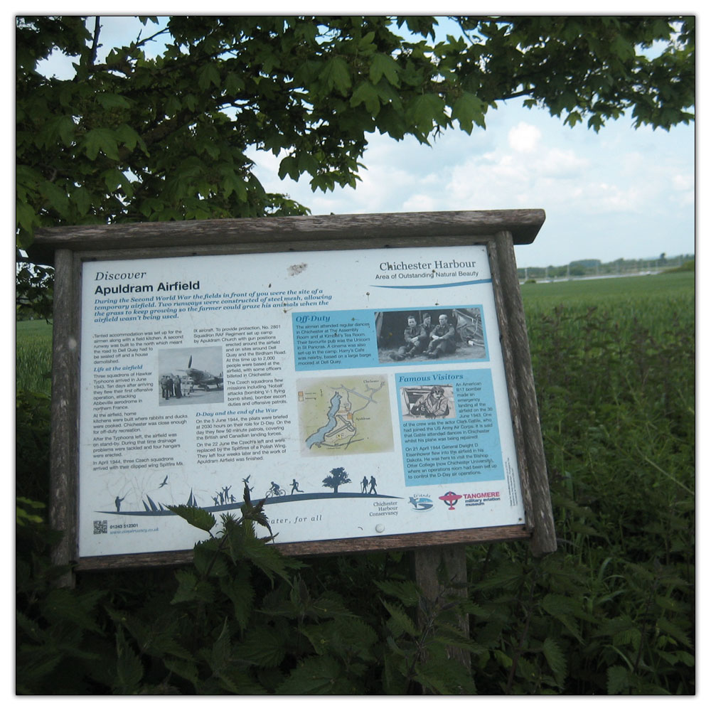 Run to Salterns Copse, 