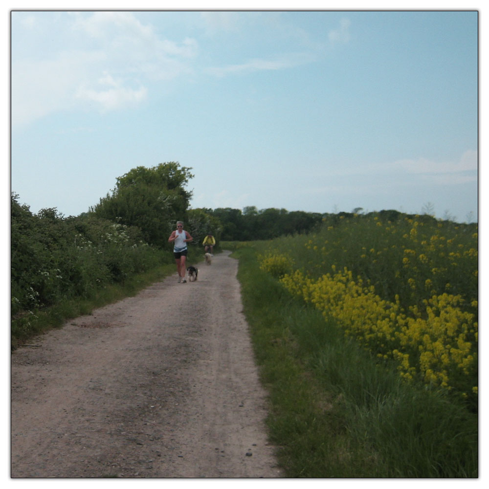 Run to Salterns Copse, 