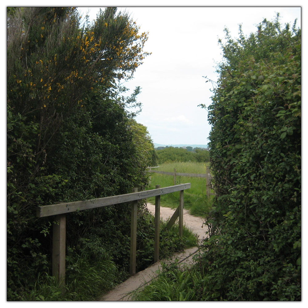 Run to Salterns Copse, 