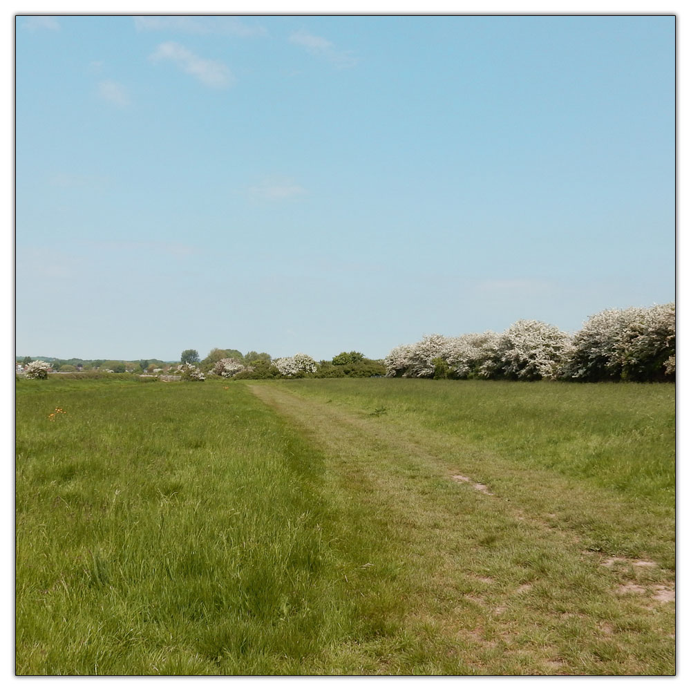 Run/Walk to Fishbourne Meadow, 