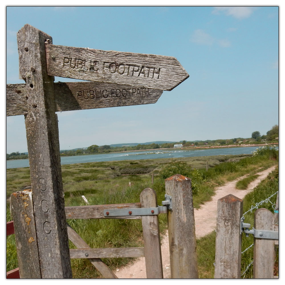 Run/Walk to Fishbourne Meadow, 