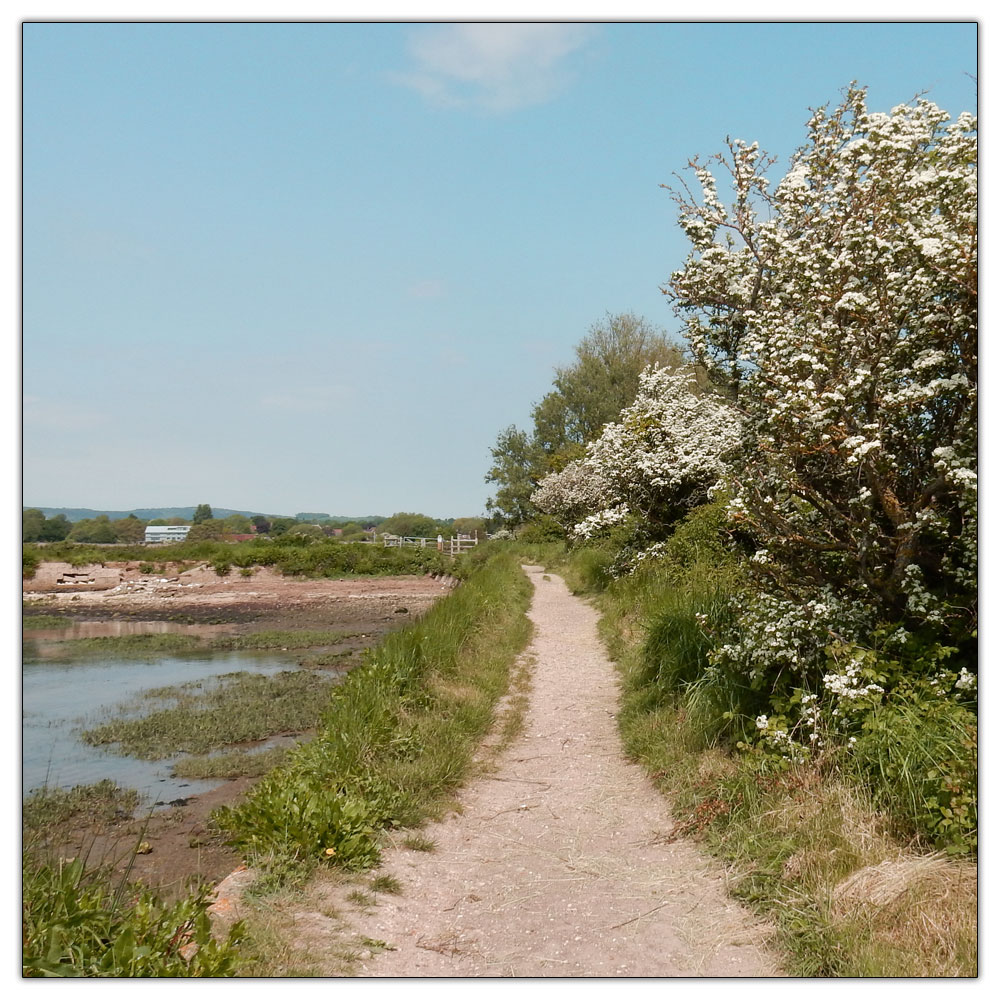 Run/Walk to Fishbourne Meadow, 