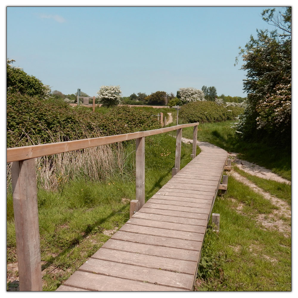 Run/Walk to Fishbourne Meadow, 