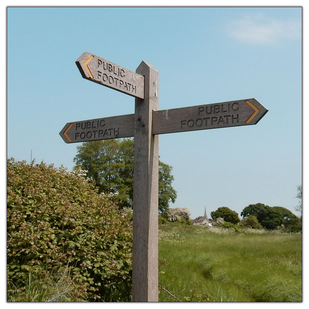 Run/Walk to Fishbourne Meadow, 