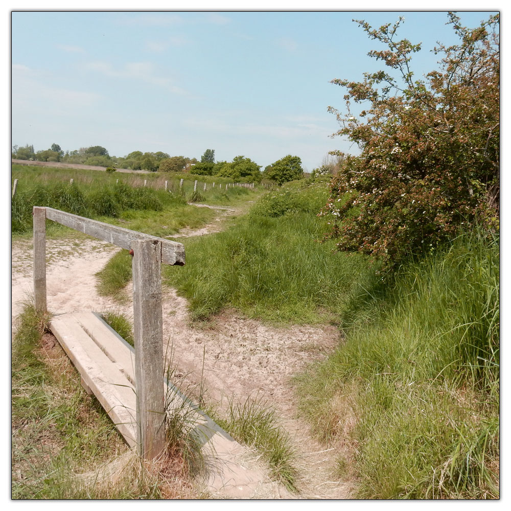 Run/Walk to Fishbourne Meadow, 