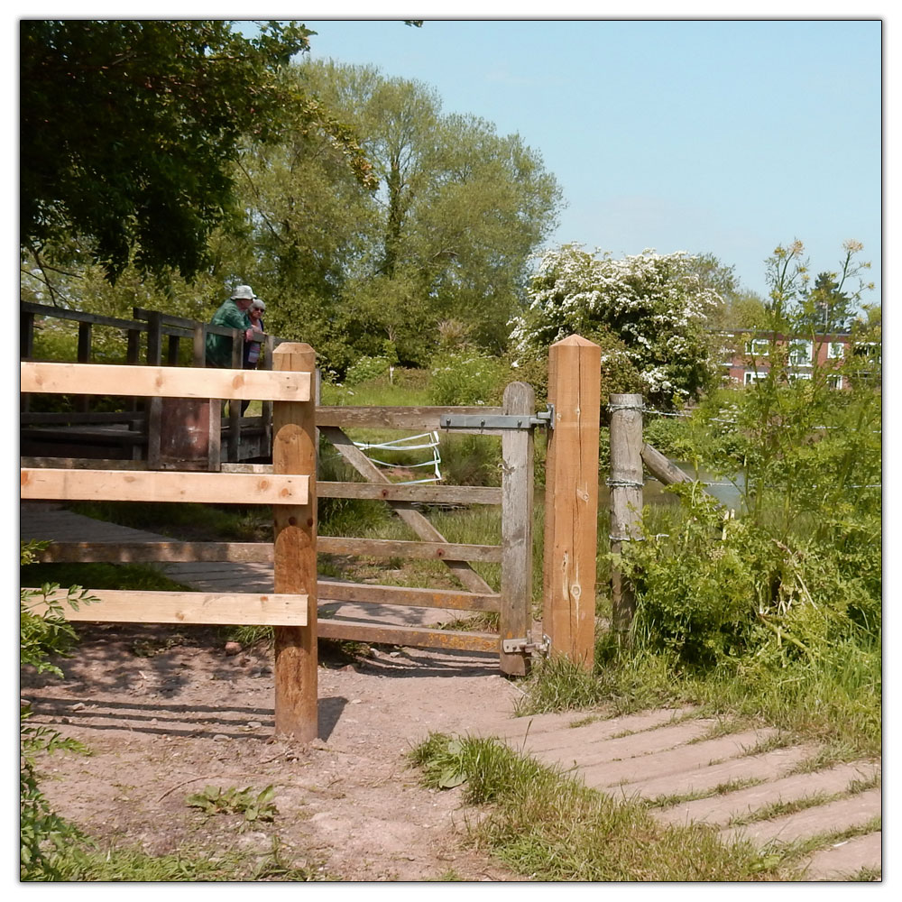 Run/Walk to Fishbourne Meadow, 