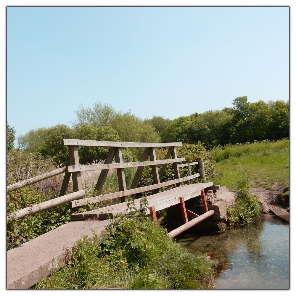 Run/Walk to Fishbourne Meadow, 