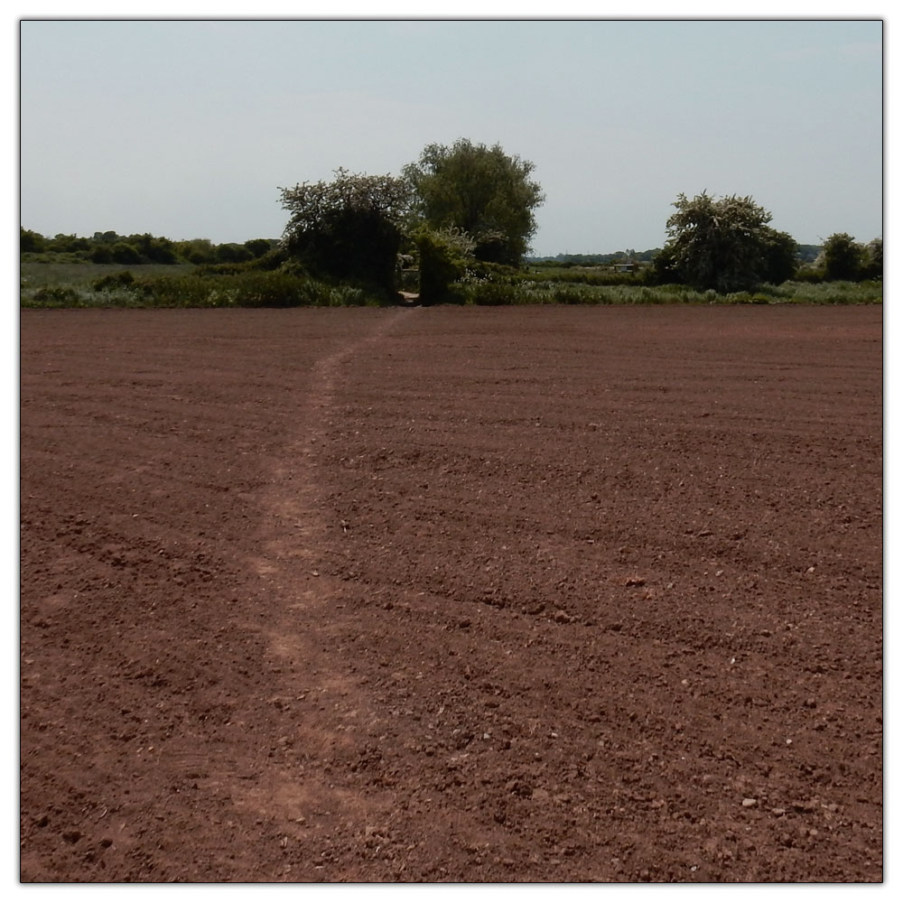 Run/Walk to Fishbourne Meadow, Where is the path?