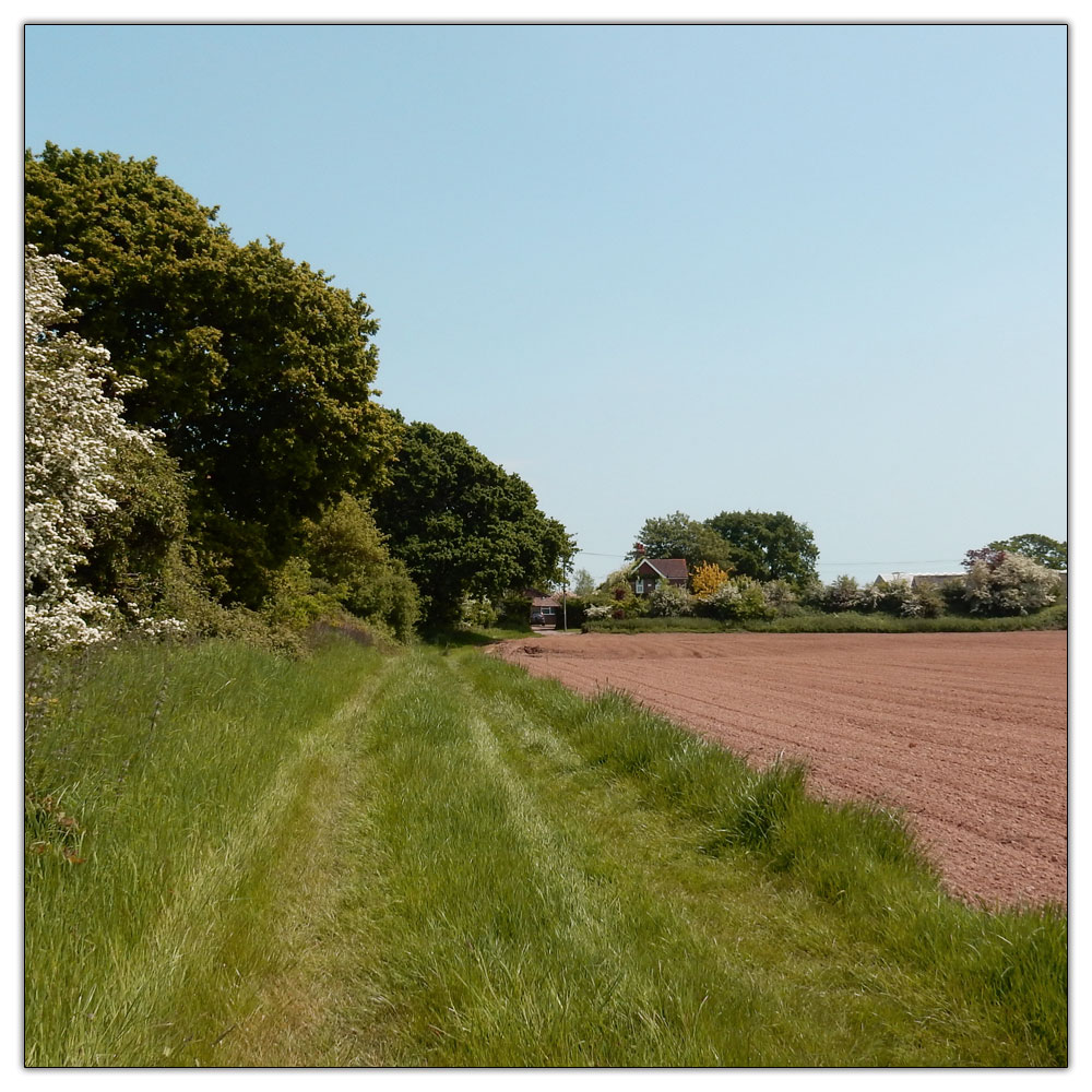 Run/Walk to Fishbourne Meadow, 