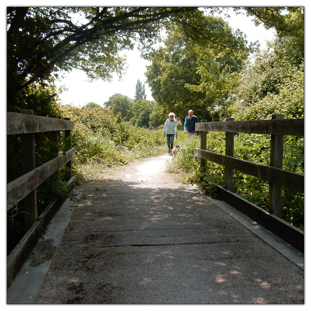 Run/Walk to Fishbourne Meadow, 