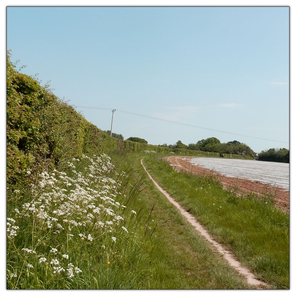 Run/Walk to Fishbourne Meadow, Back to work