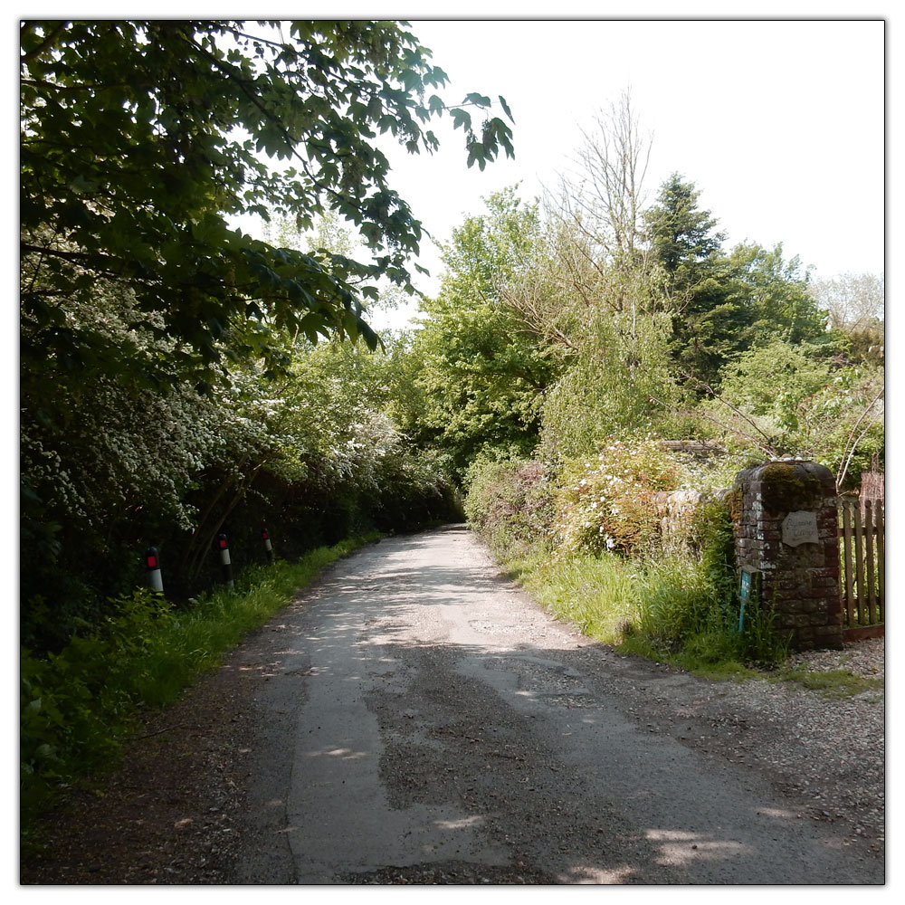 Run/Walk to Fishbourne Meadow, The lane to the church