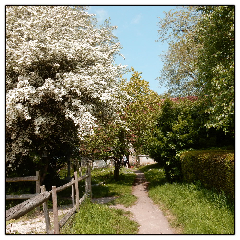 Run/Walk to Fishbourne Meadow, 