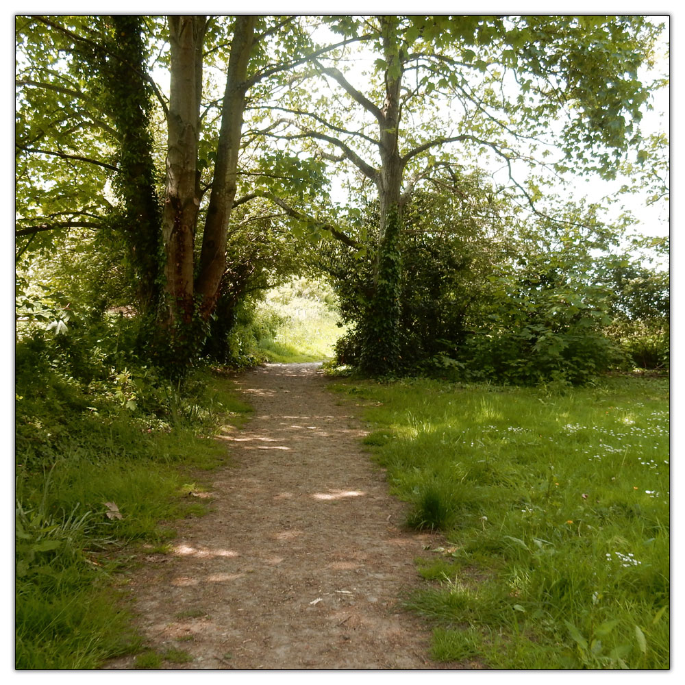 Run/Walk to Fishbourne Meadow, 