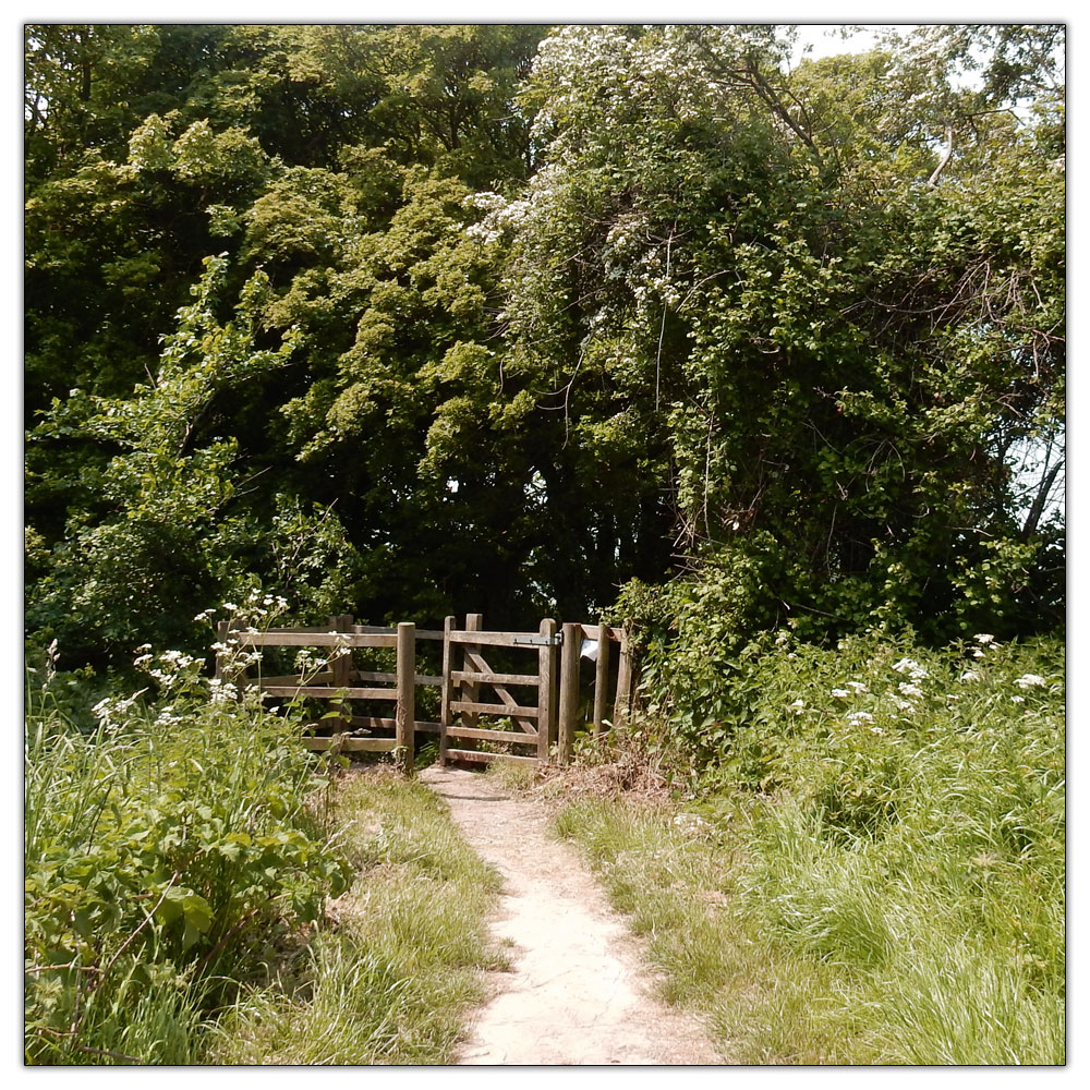 Run/Walk to Fishbourne Meadow, 