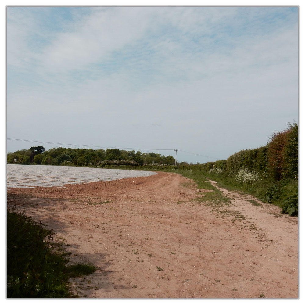 Fishbourne Meadow Loop, Start