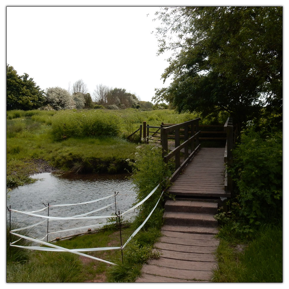 Fishbourne Meadow Loop, 